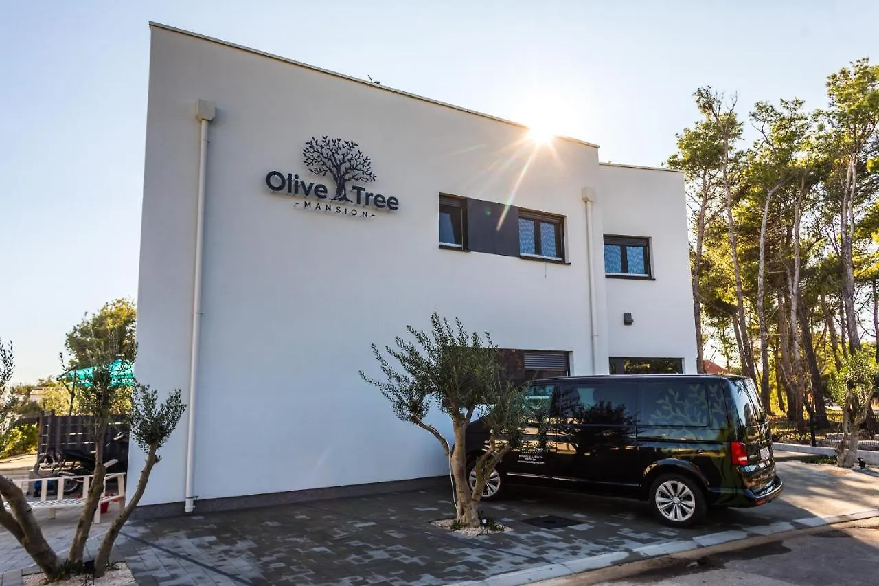 Ferienwohnung Olive Tree Mansion Vir 0*,
